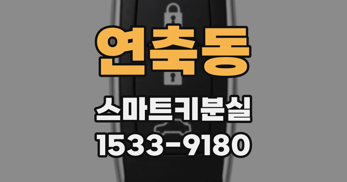 연축동 스마트키분실