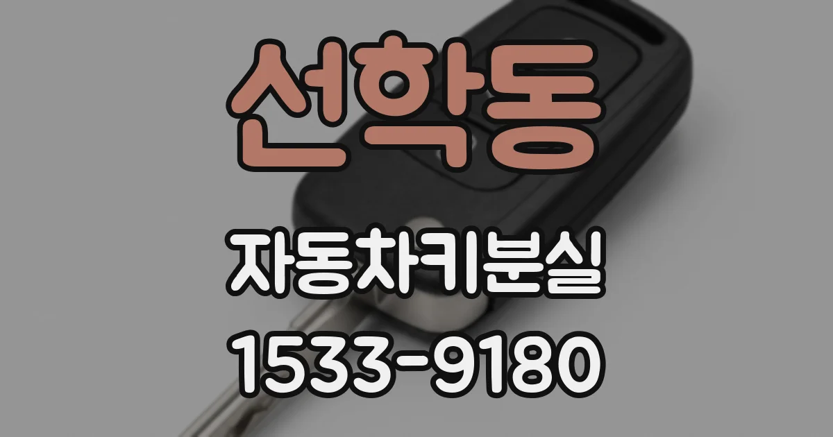 선학동 자동차키분실