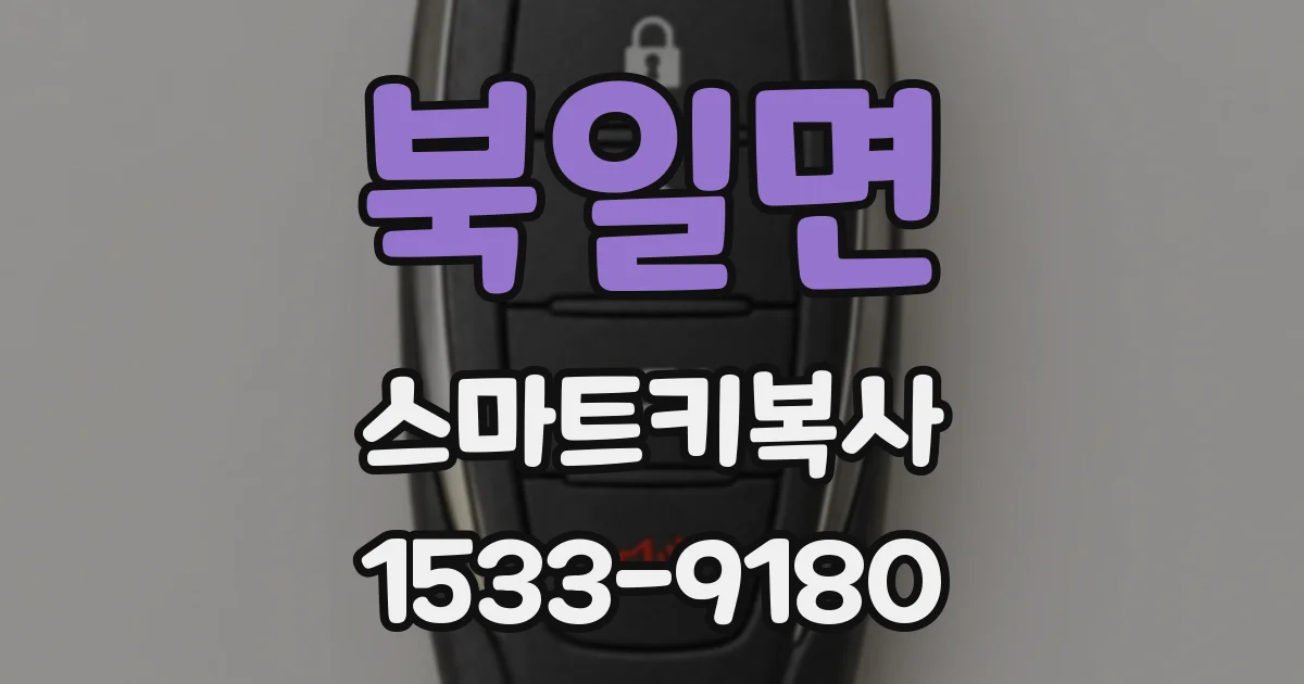 북일면 스마트키복사