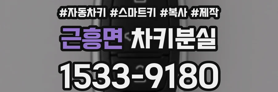 근흥면 차키분실