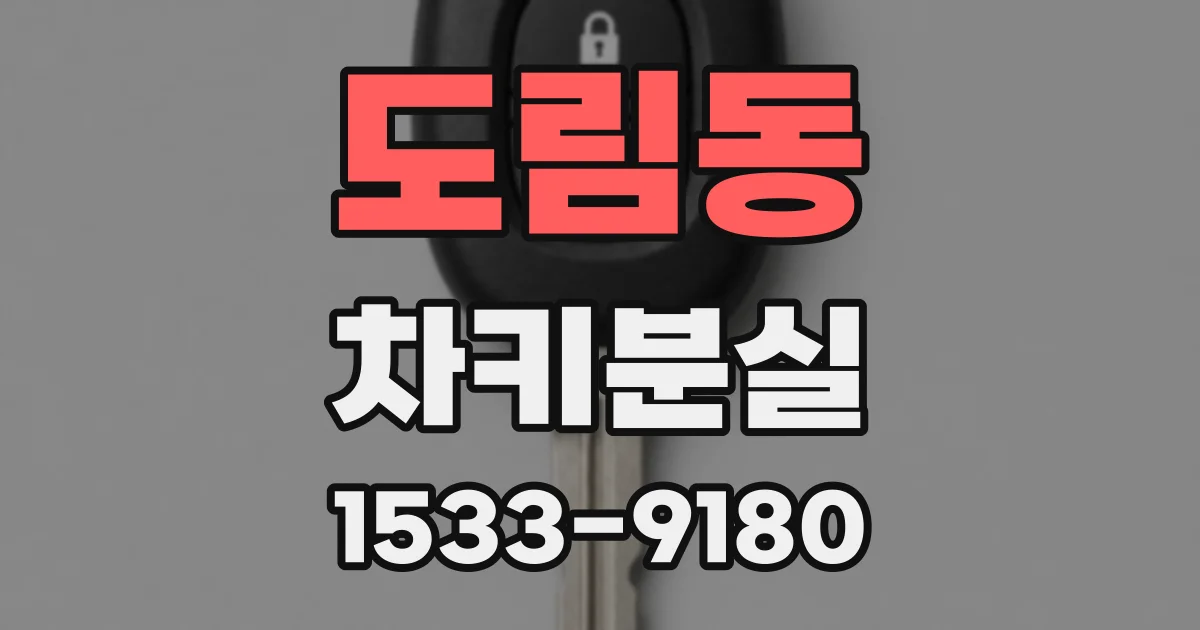 도림동 차키분실
