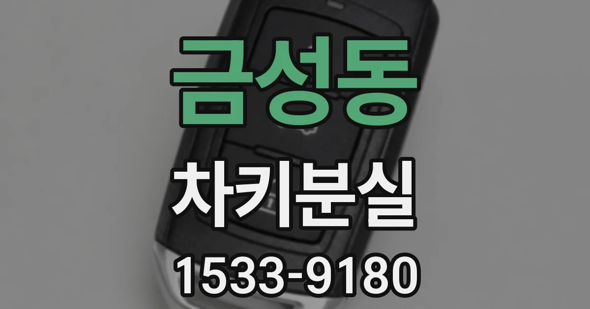 금성동 차키분실