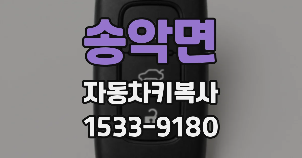 송악면 자동차키복사
