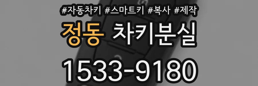 정동 차키분실
