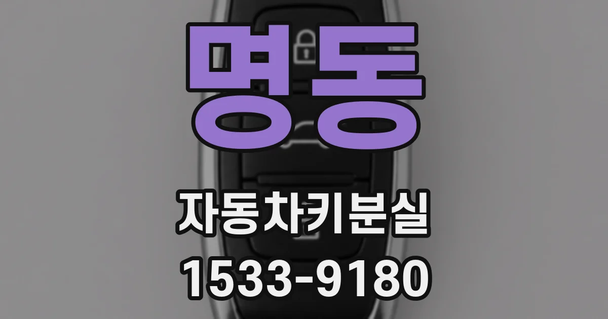 명동 자동차키분실