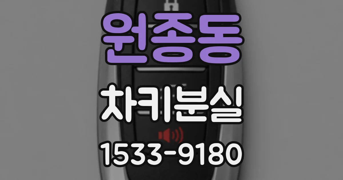 원종동 차키분실