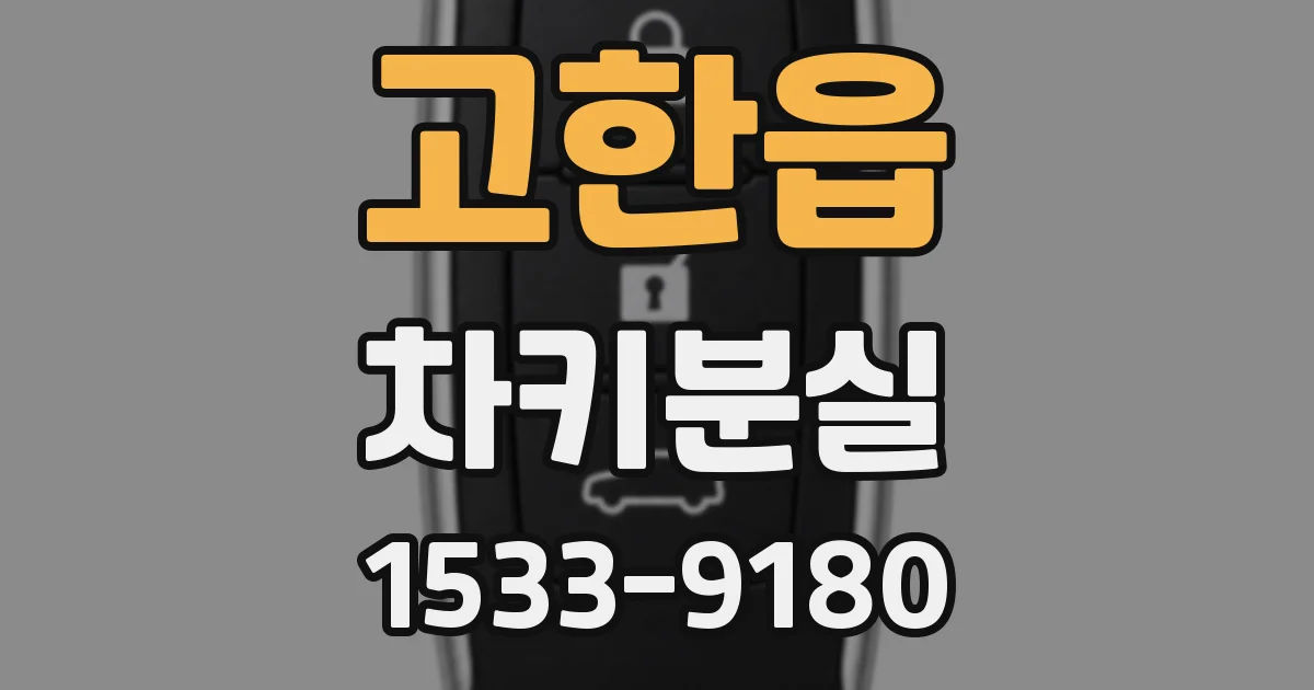 고한읍 차키분실