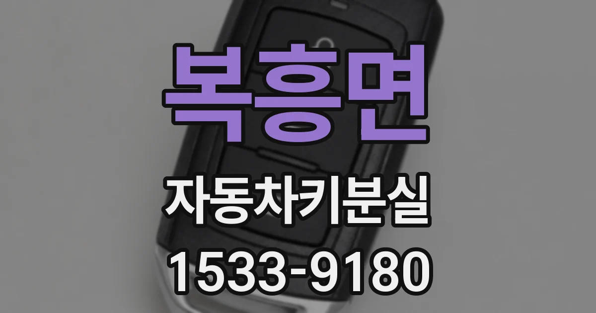 복흥면 자동차키분실