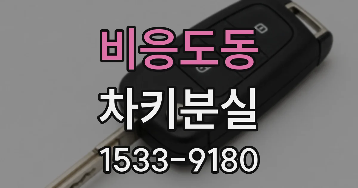 비응도동 차키분실