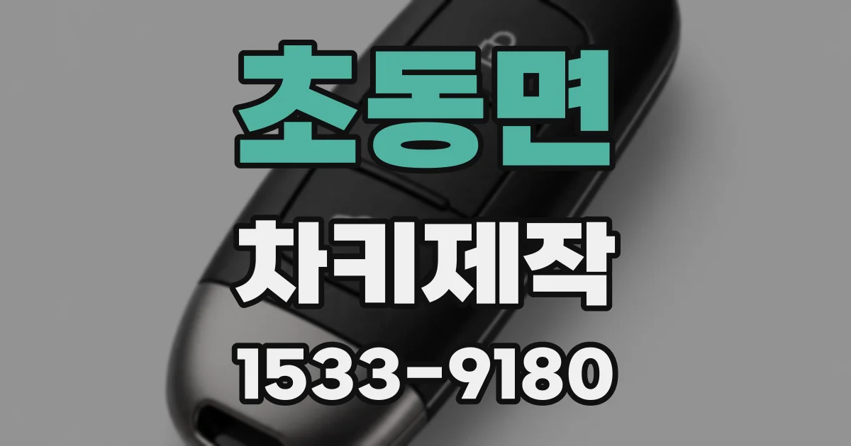 초동면 차키제작