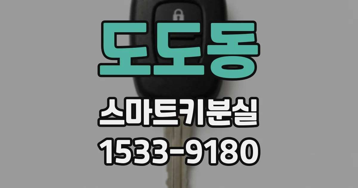 도도동 스마트키분실