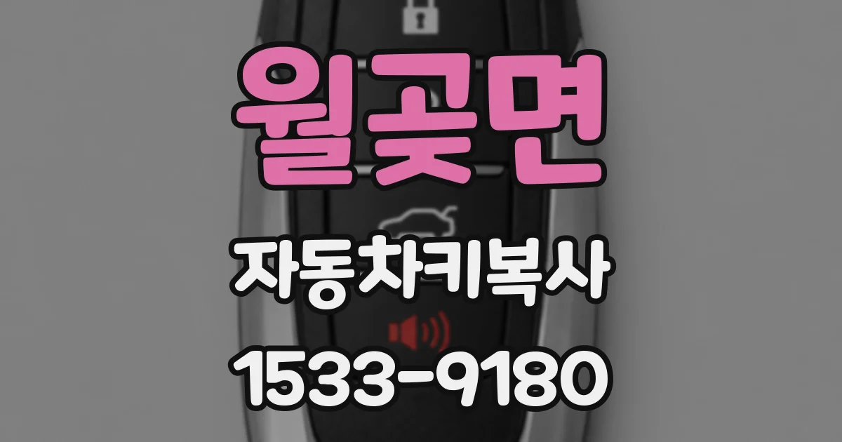 월곶면 자동차키복사
