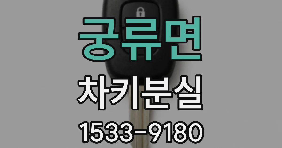 궁류면 차키분실