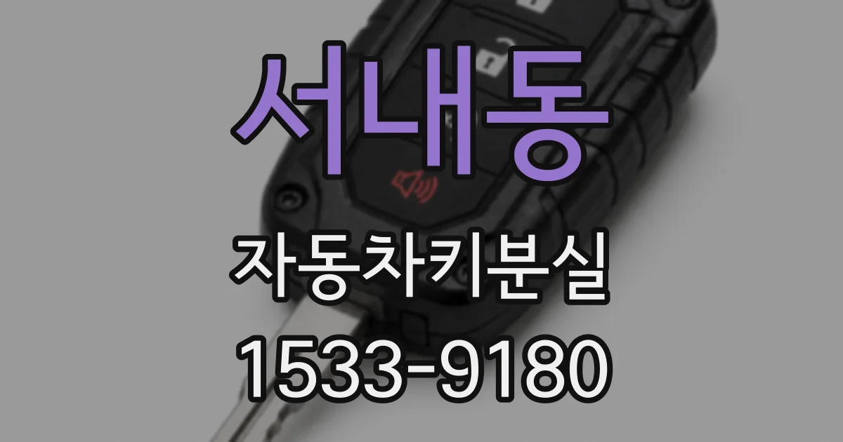 서내동 자동차키분실