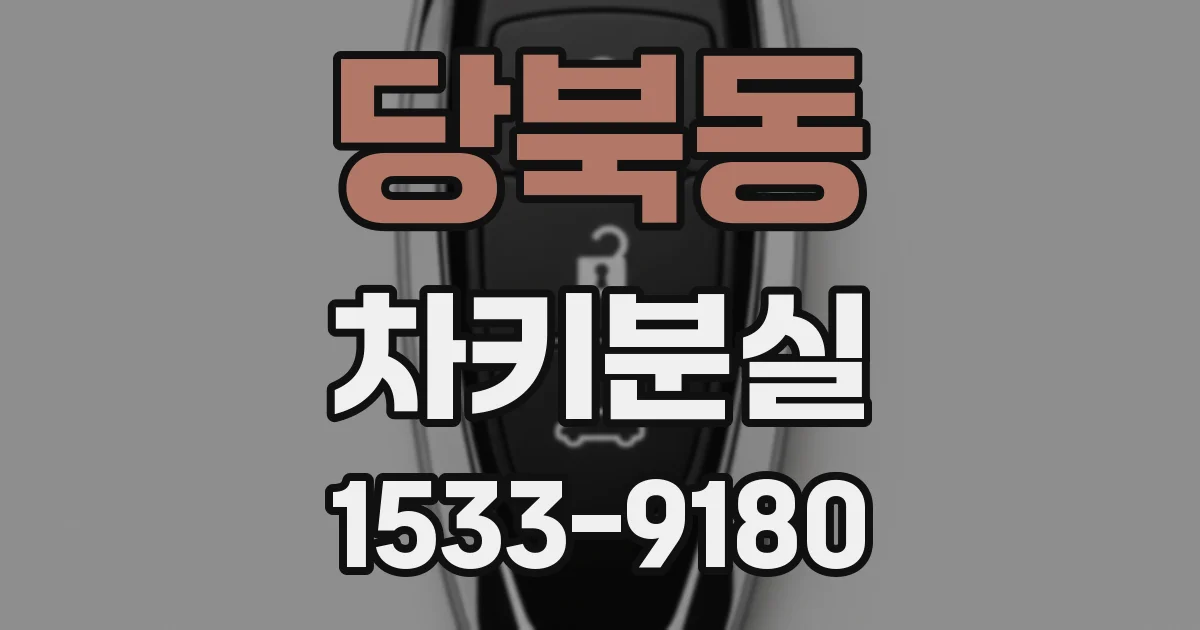당북동 차키분실