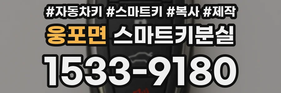 웅포면 스마트키분실