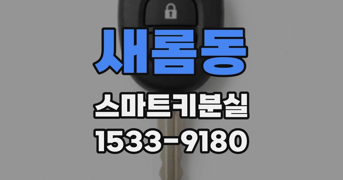 새롬동 스마트키분실