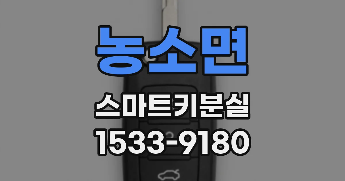 농소면 스마트키분실