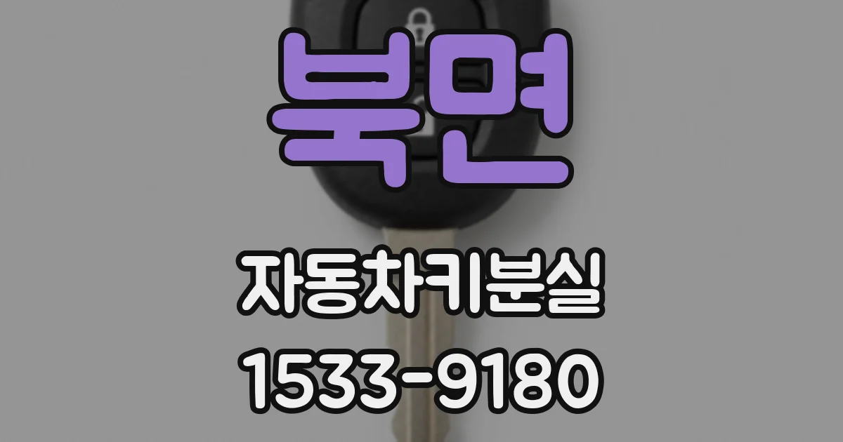 북면 자동차키분실