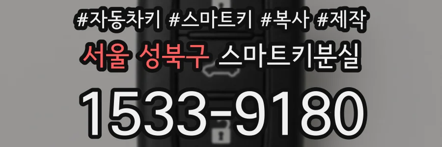 서울 성북구 스마트키분실