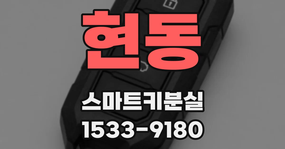 현동 스마트키분실