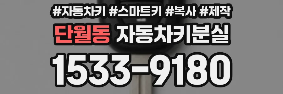 단월동 자동차키분실