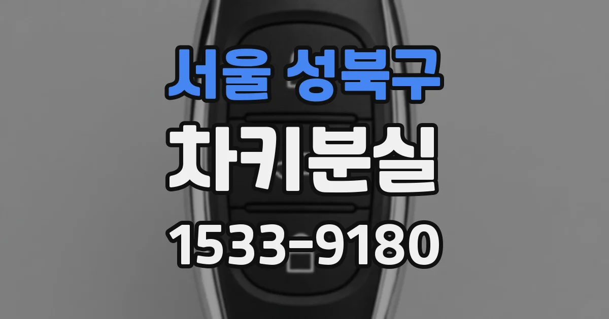 서울 성북구 차키분실