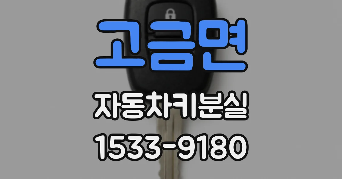 고금면 자동차키분실
