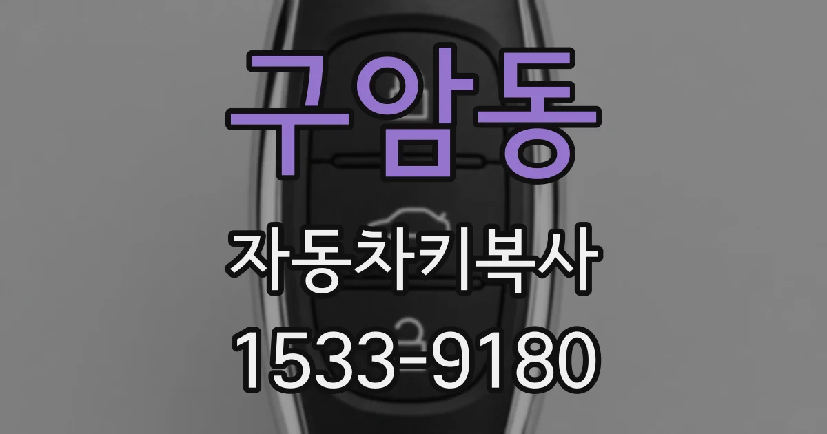 구암동 자동차키복사