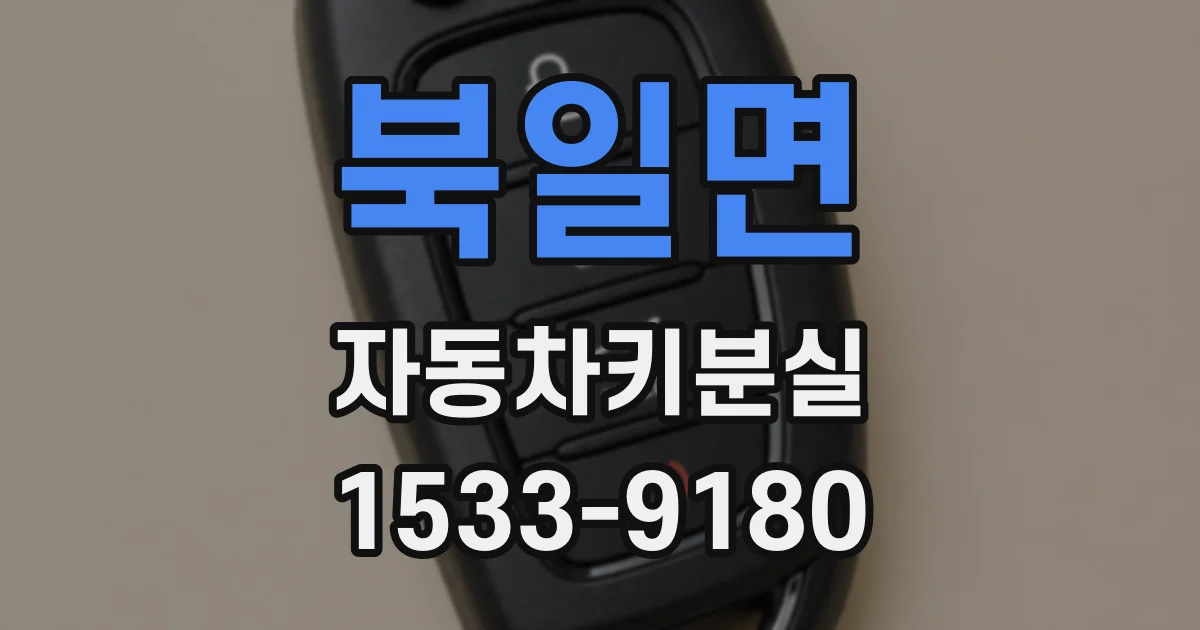 북일면 자동차키분실