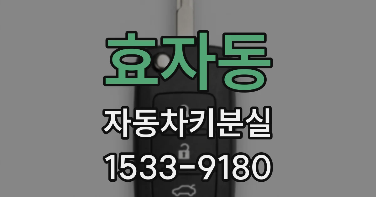 효자동 자동차키분실