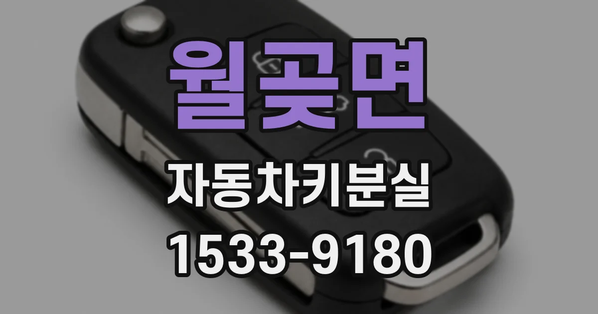 월곶면 자동차키분실