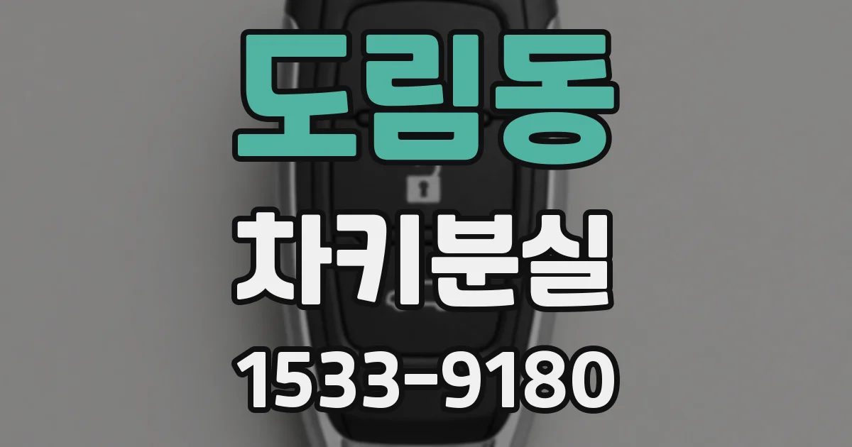 도림동 차키분실