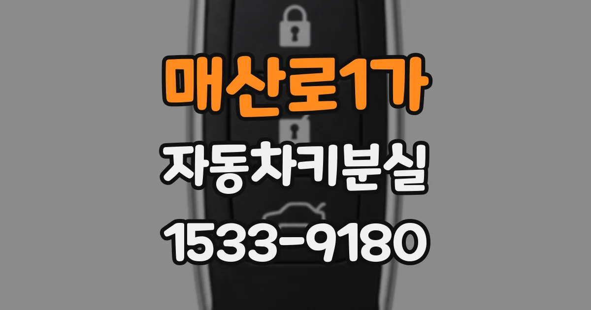 매산로1가 자동차키분실