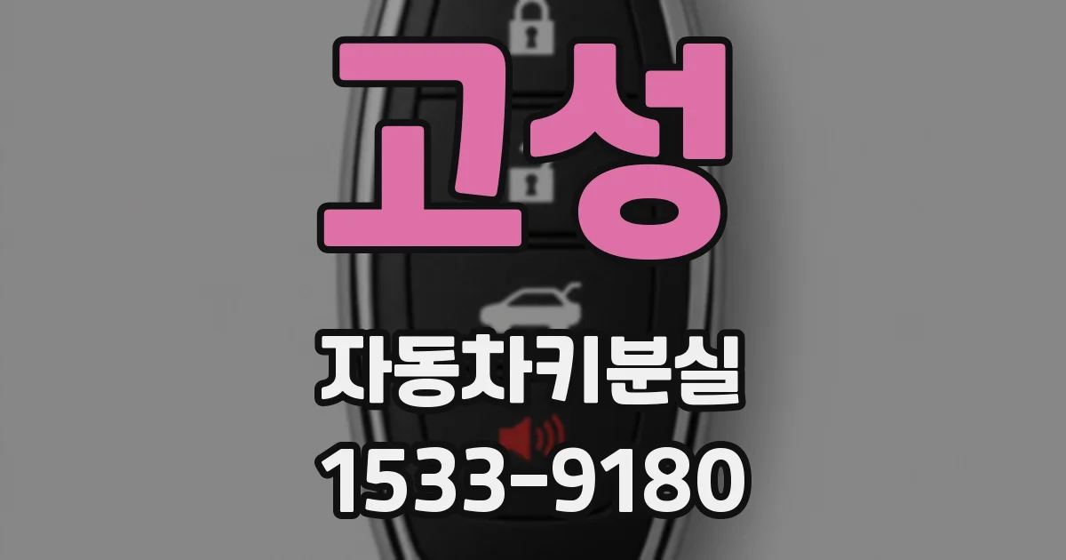 고성 자동차키분실