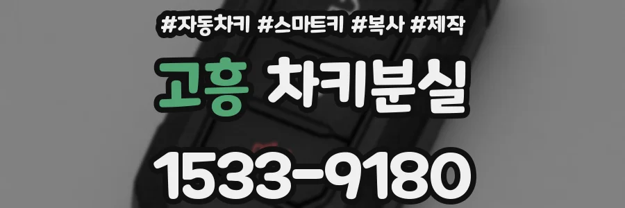 고흥 차키분실