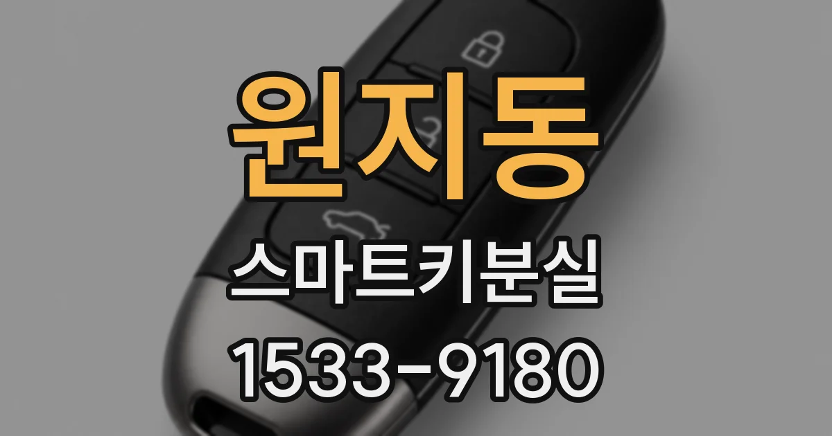 원지동 스마트키분실