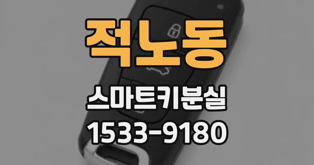 적노동 스마트키분실