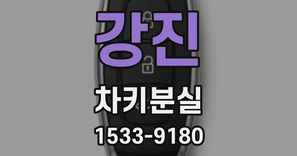 강진 차키분실