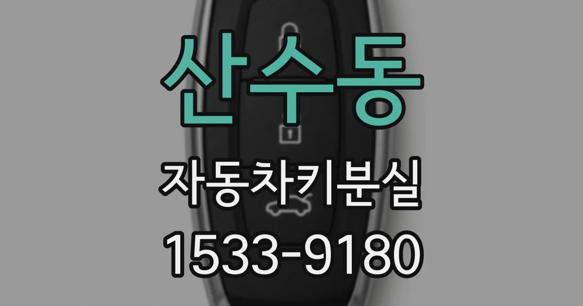 산수동 자동차키분실