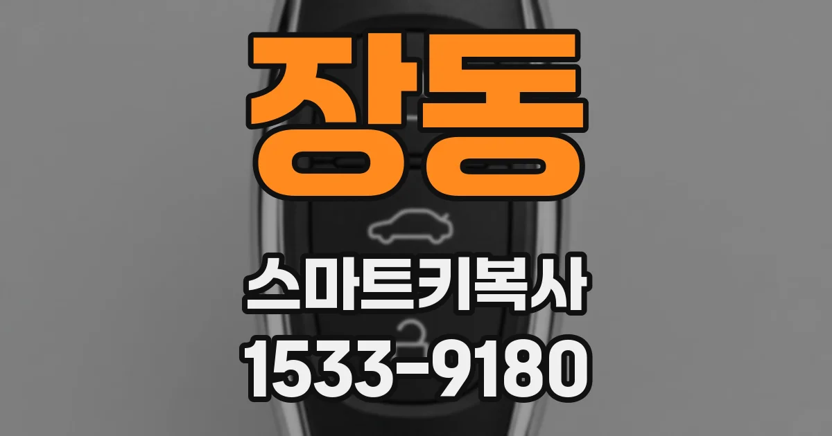 장동 스마트키복사