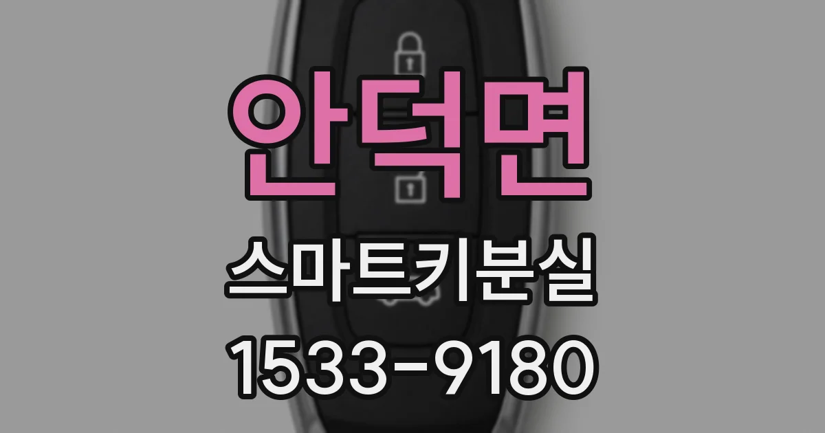 안덕면 스마트키분실