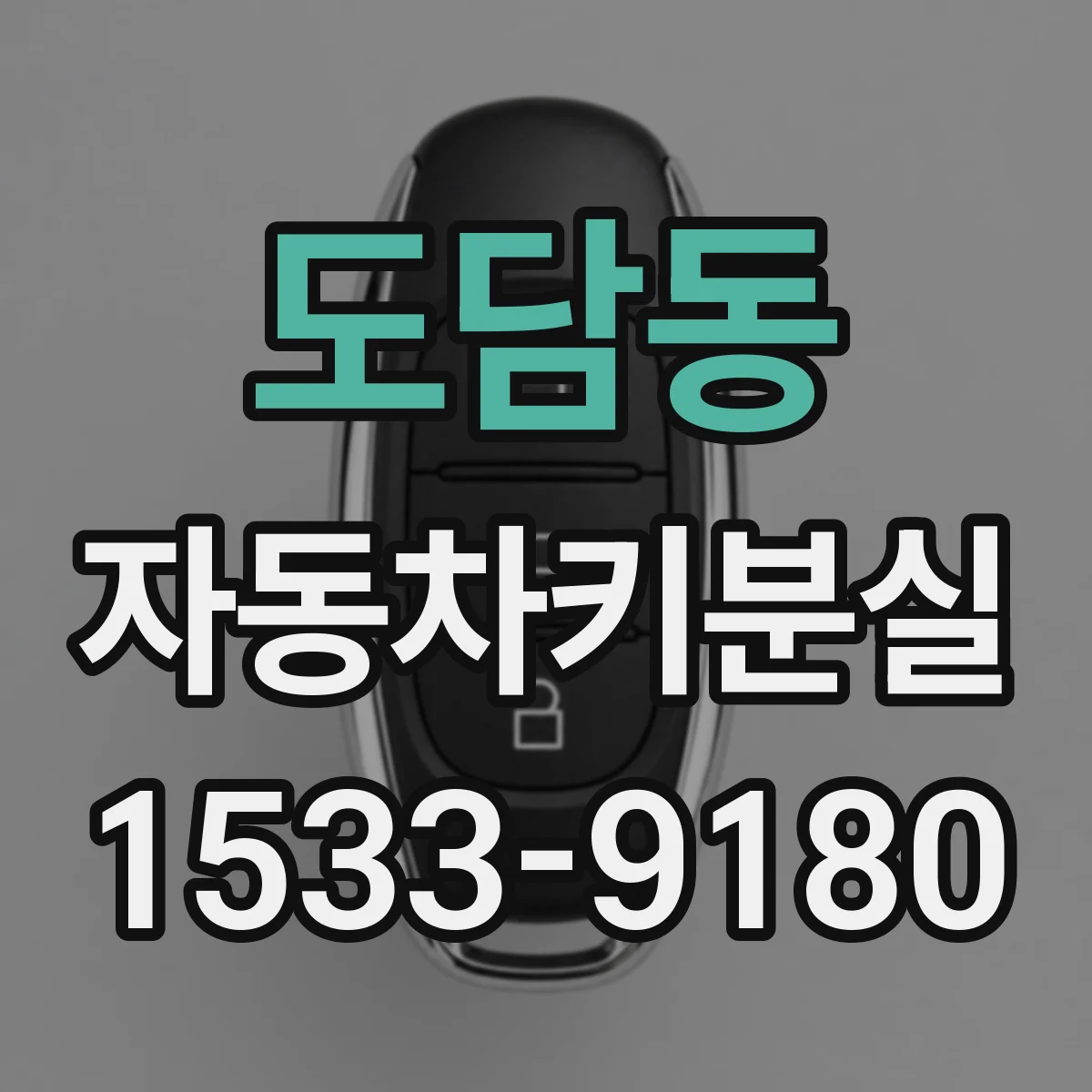 도담동 자동차키분실