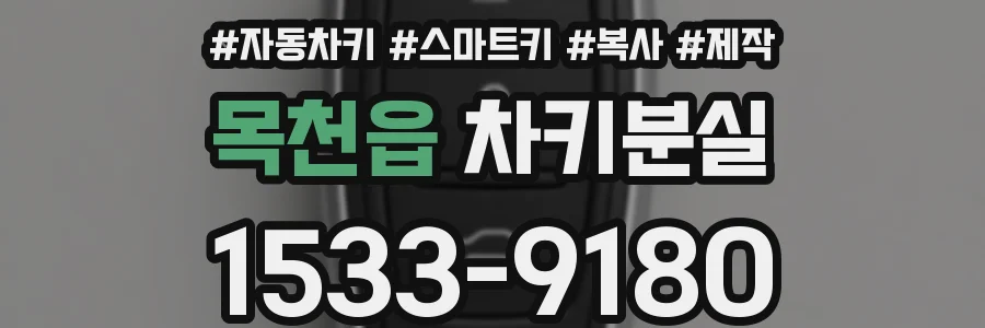 목천읍 차키분실