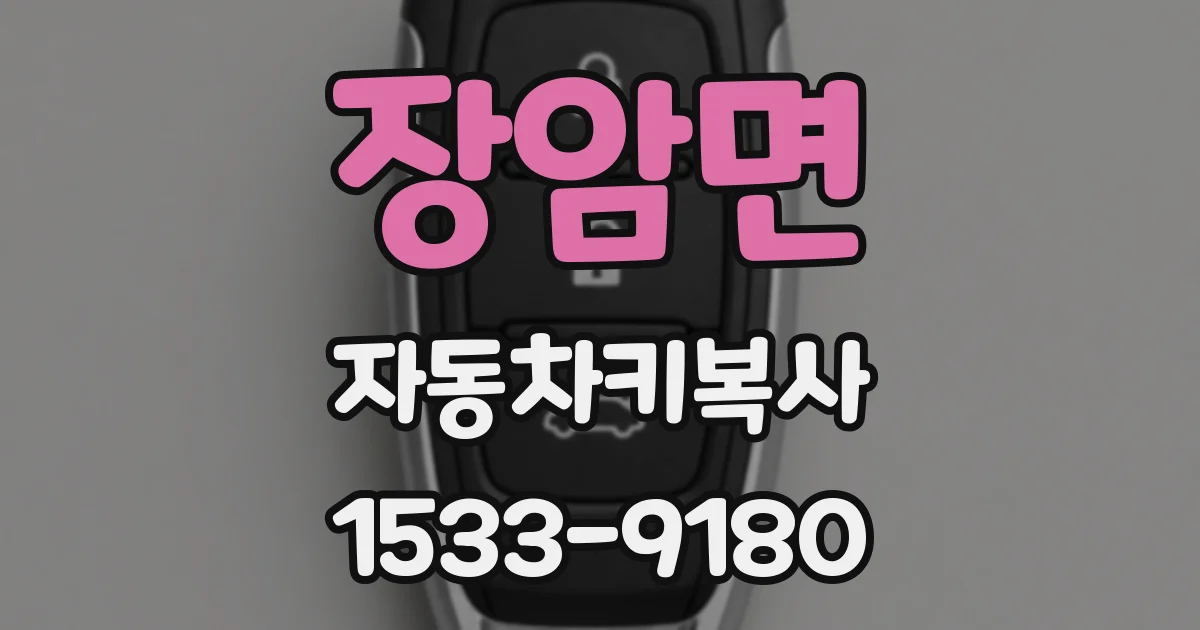 장암면 자동차키복사