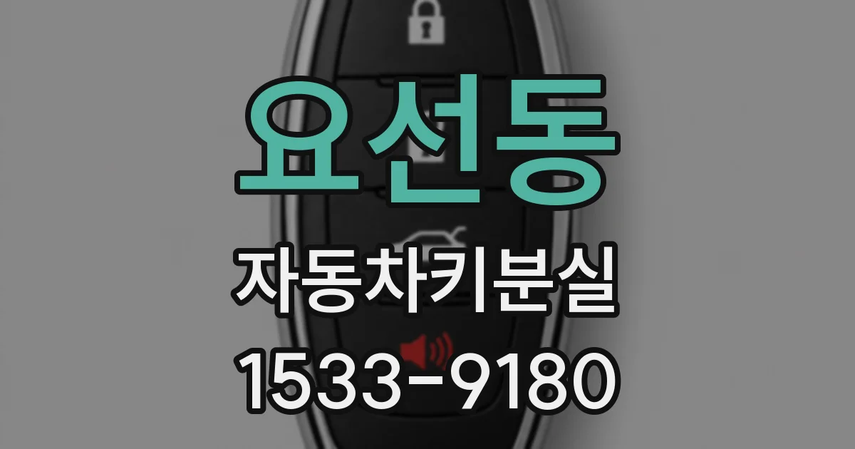 요선동 자동차키분실