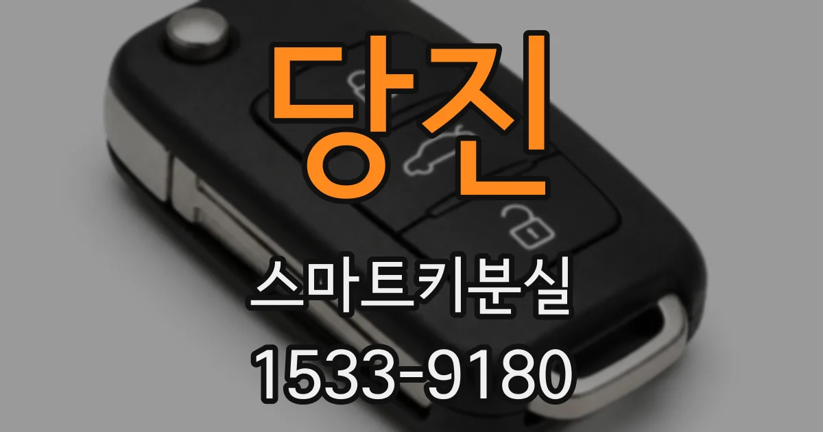 당진 스마트키분실