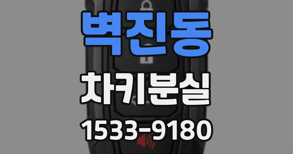 벽진동 차키분실