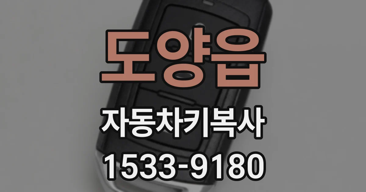 도양읍 자동차키복사