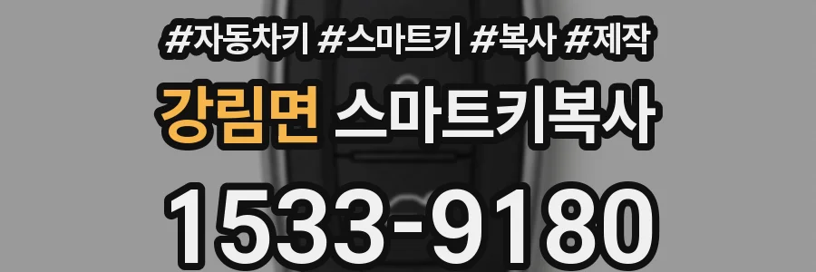 강림면 스마트키복사